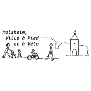 mvpv 300x300